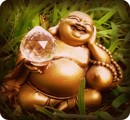 happy Buddha