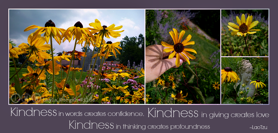 Three Things Kindness Can Do For You
