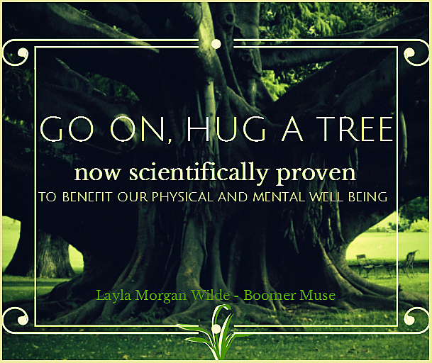 Hugging Trees Proven To Help Stress