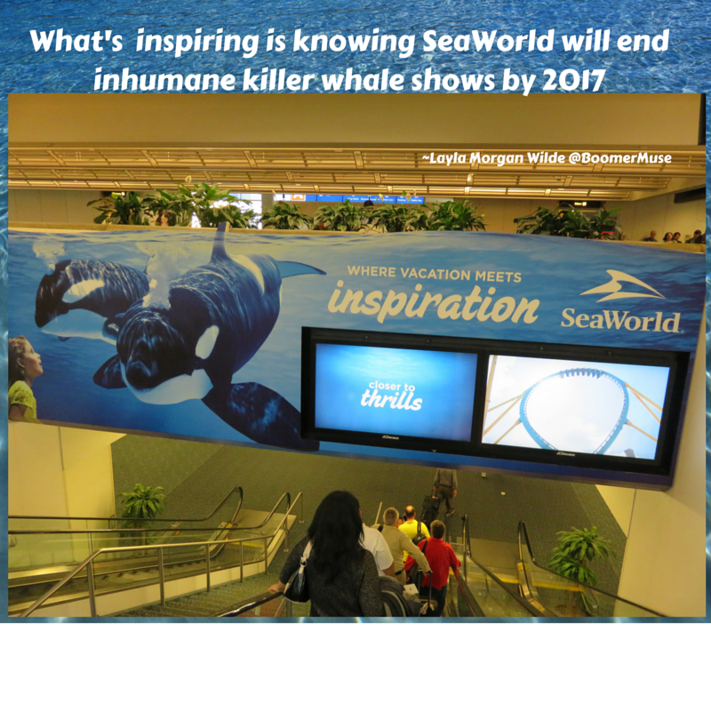Inspiration in Unlikely Places Like SeaWorld