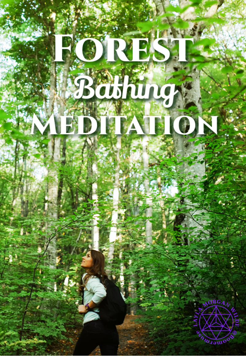 forest bathing meditation