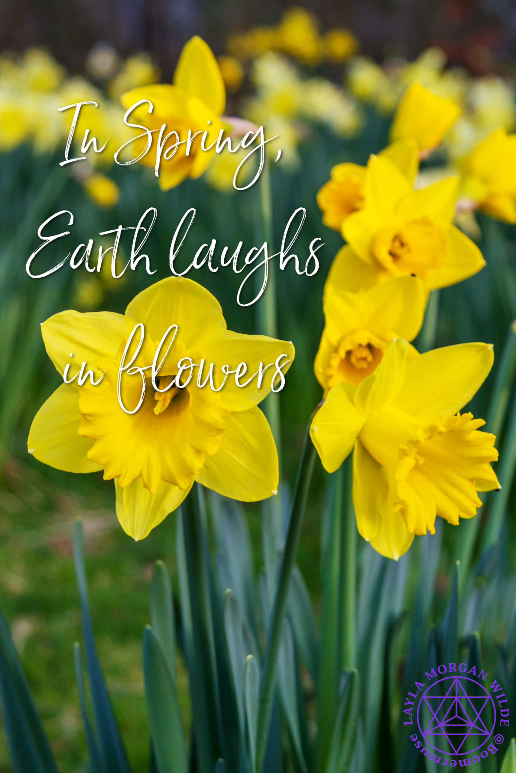in spring, earth laughs in flowers