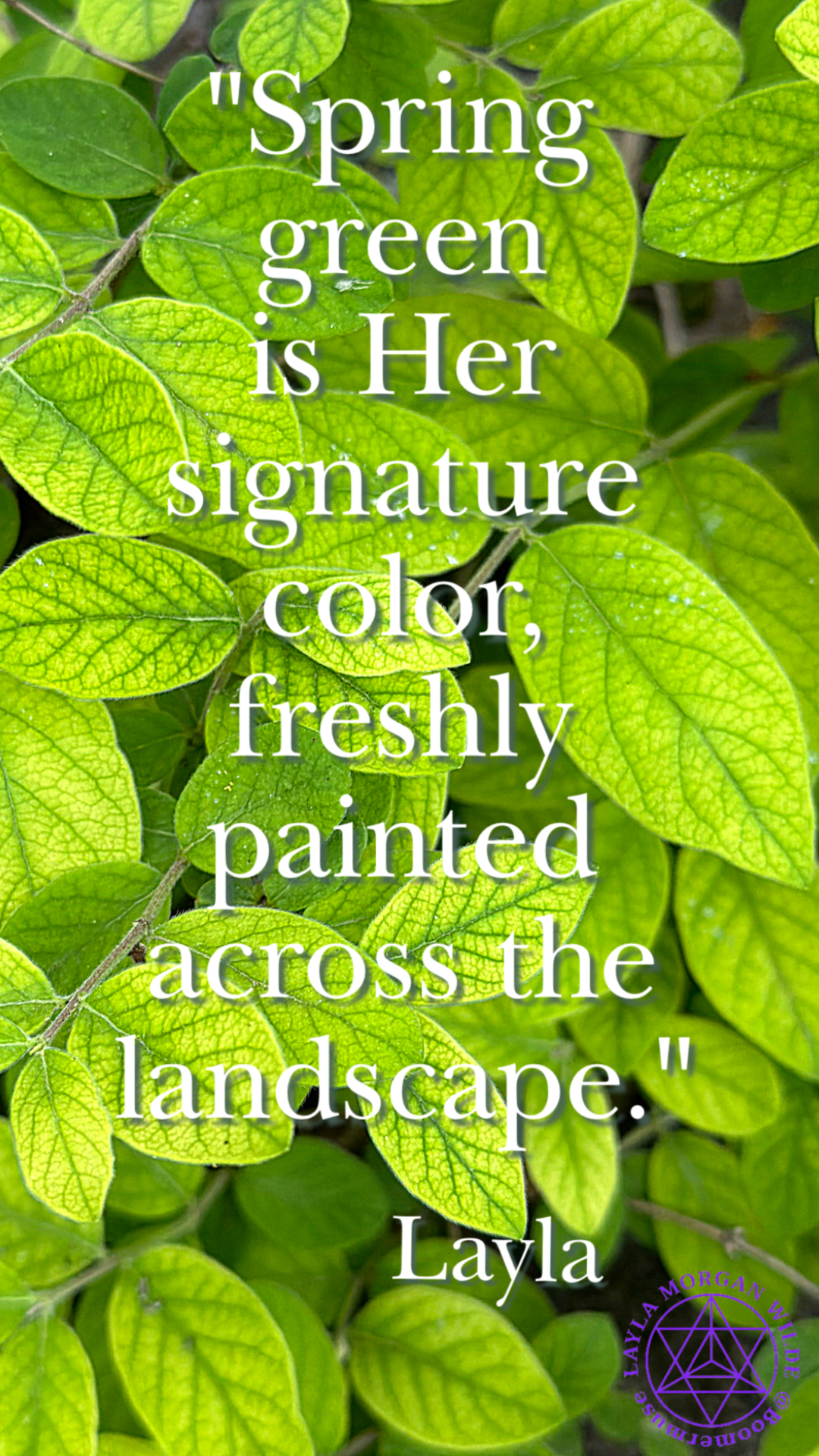 spring green leaves quote