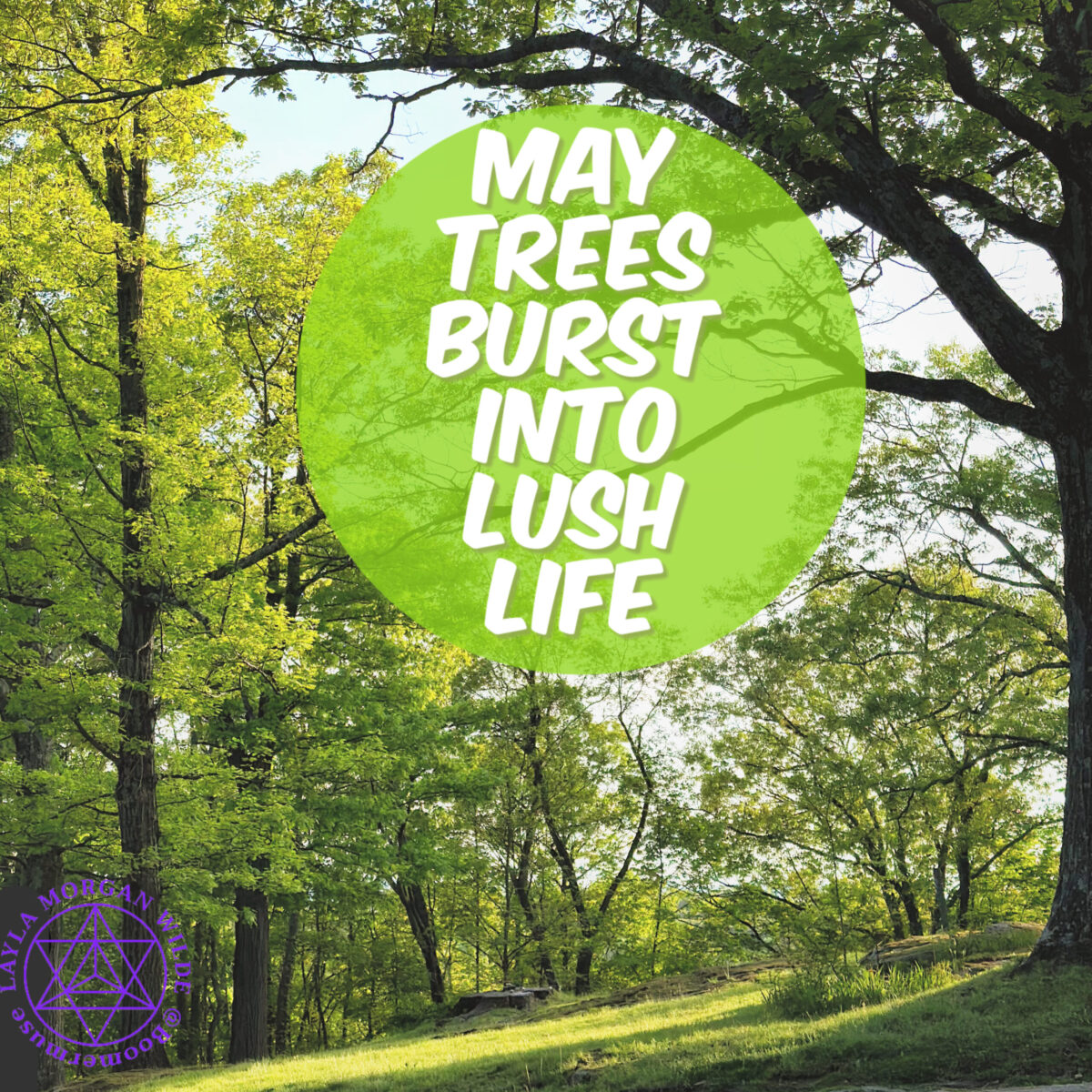 May Trees Burst Into Lush Life