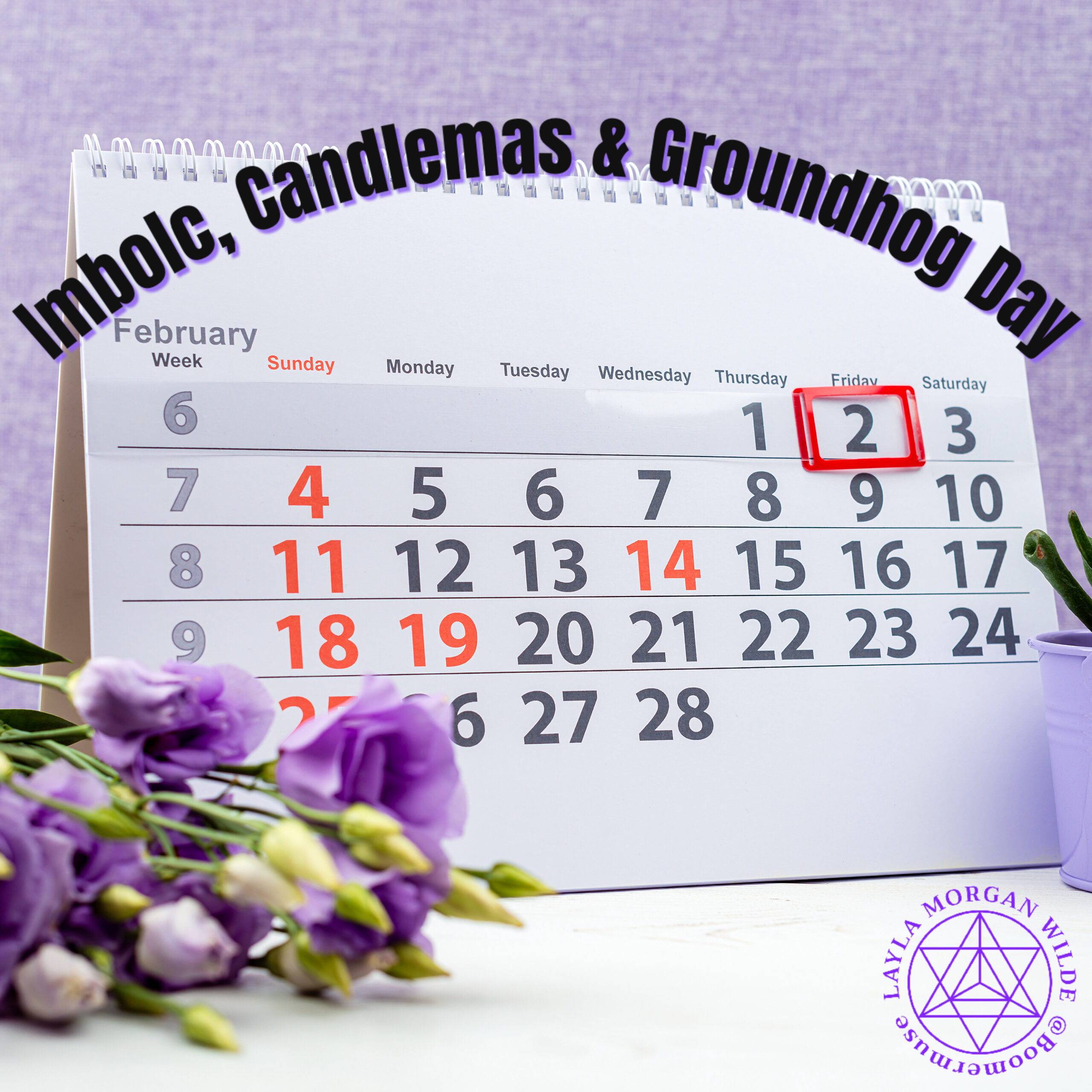 Candlemas imbolc groundhog day