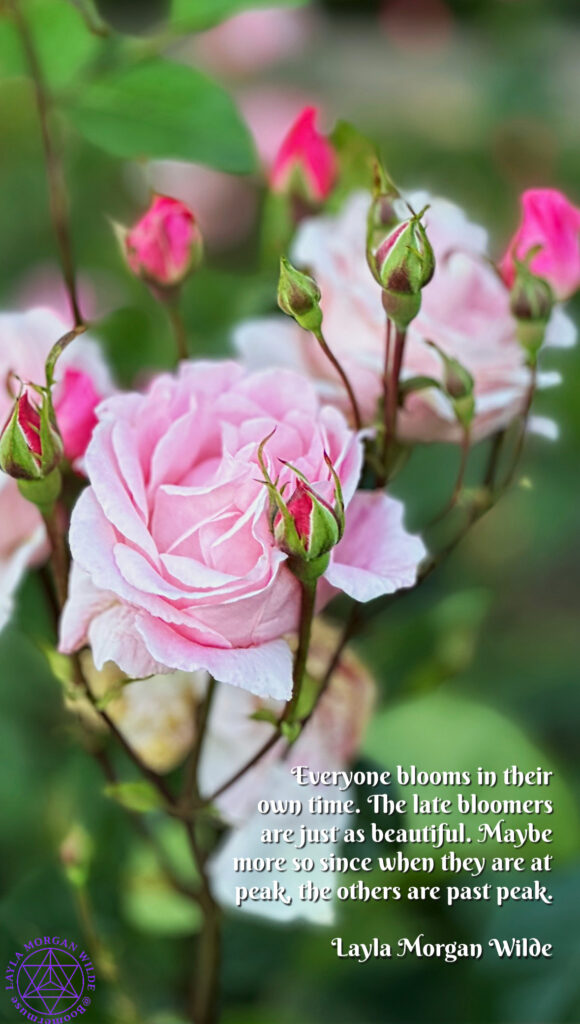 Quotes about roses