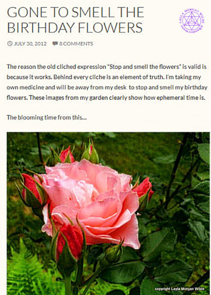 Rose quotes