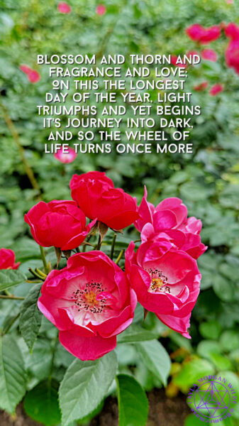 Summer solstice roses quote