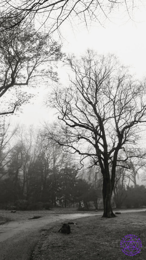 Liminal lens wisdom
