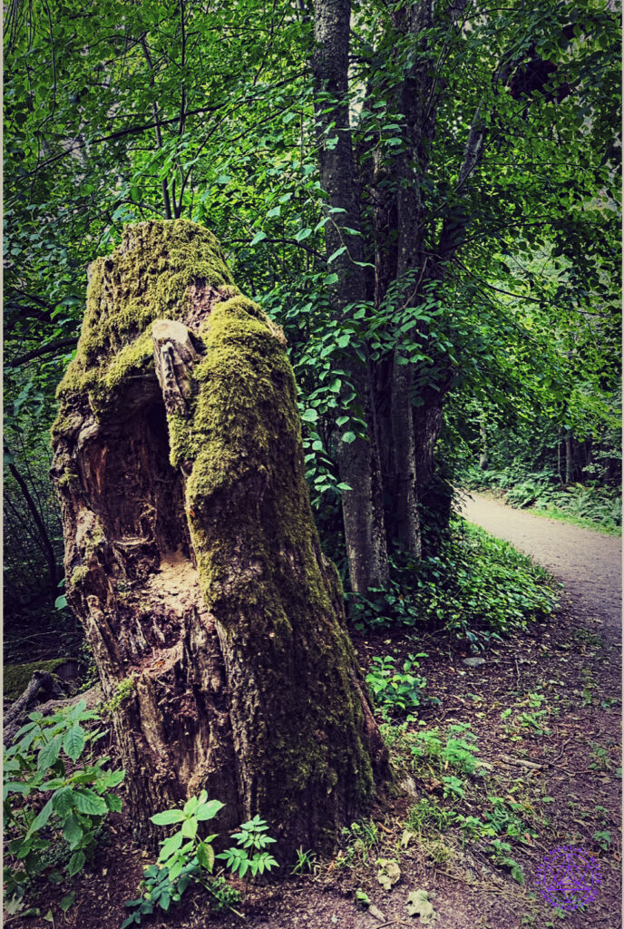 Liminal lens wisdom