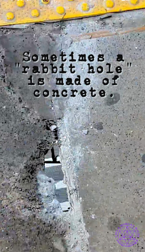 Rabbit hole quote