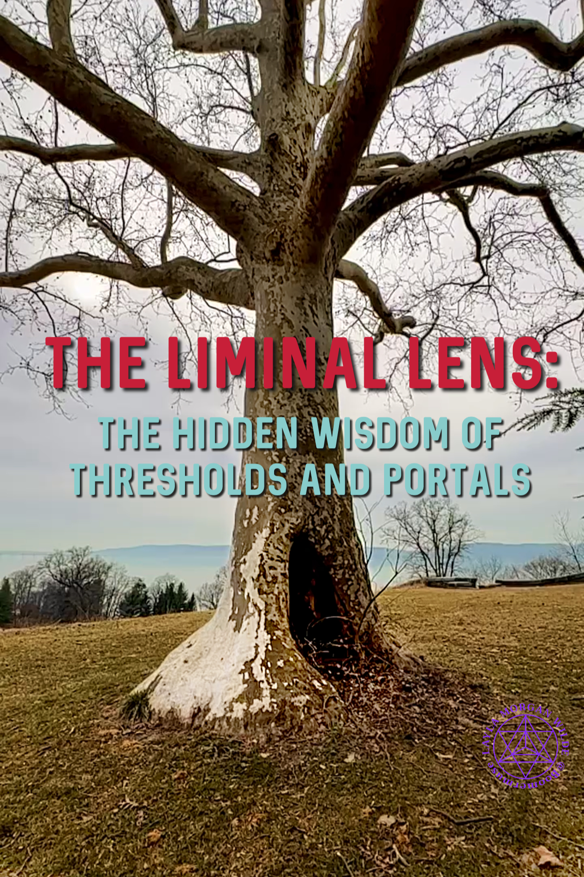 The Liminal Lens: The Hidden Wisdom of Thresholds and Portals