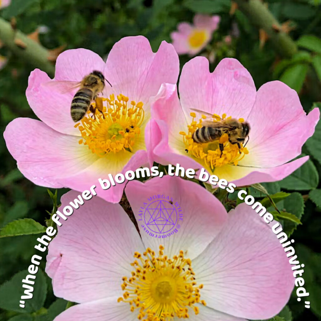 Quote bees and roses