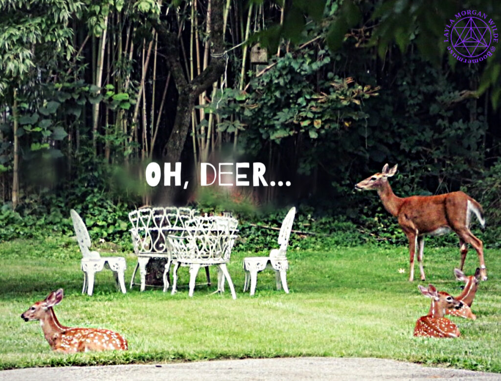 Deer family in garden with doe