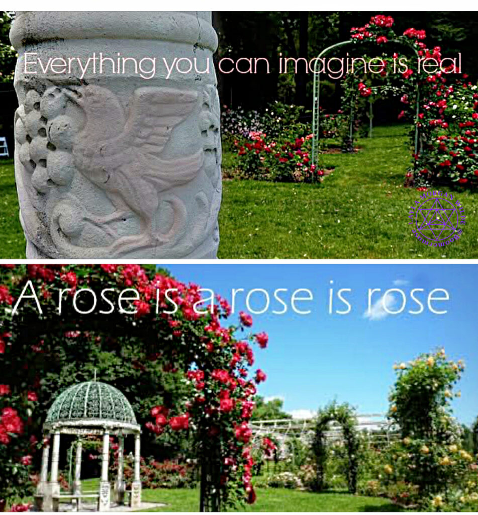 Quotes about roses