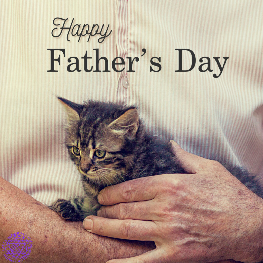 Happy father’s day cat