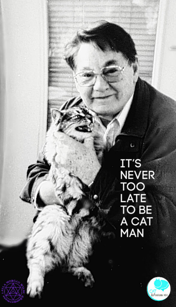 Cat man cat dad quote