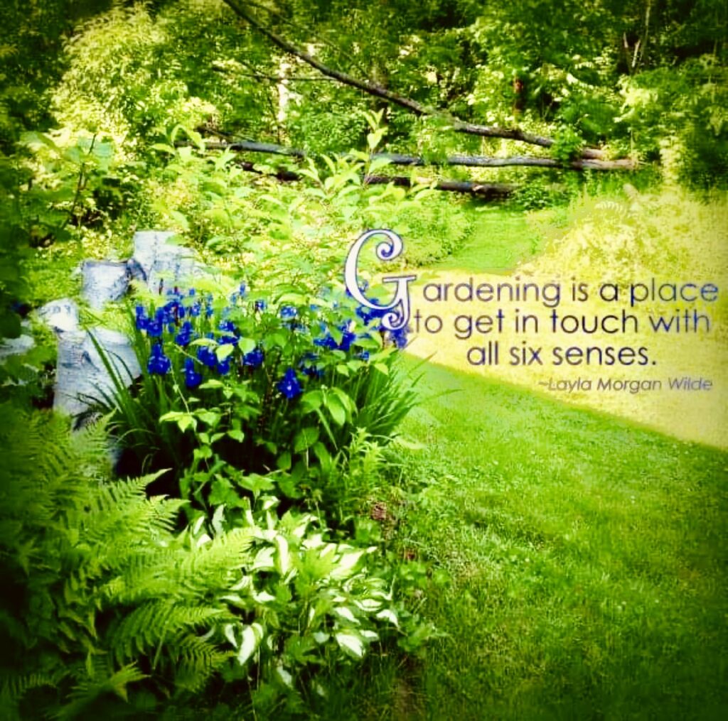 Gardening quote