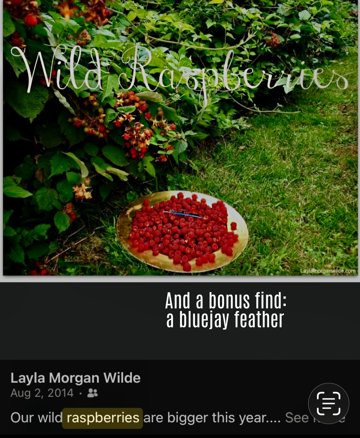 Hands on Wisdom From The Garden