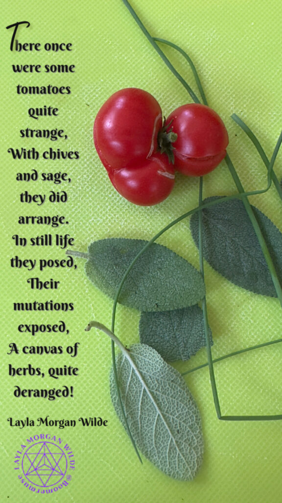 Tomato tpoem Tomato poem
