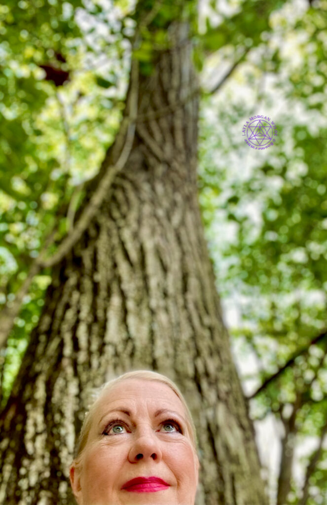 Tree lover