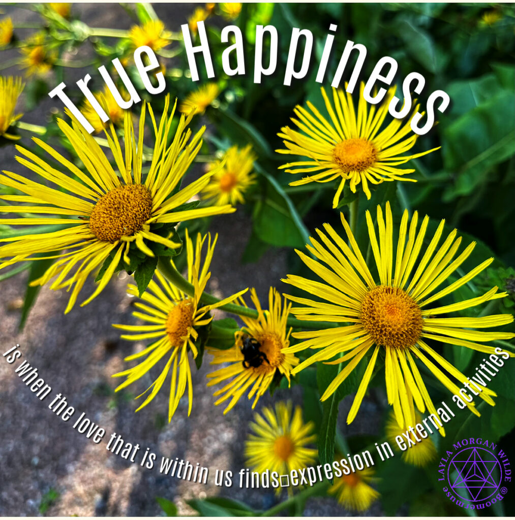 Happiness quote