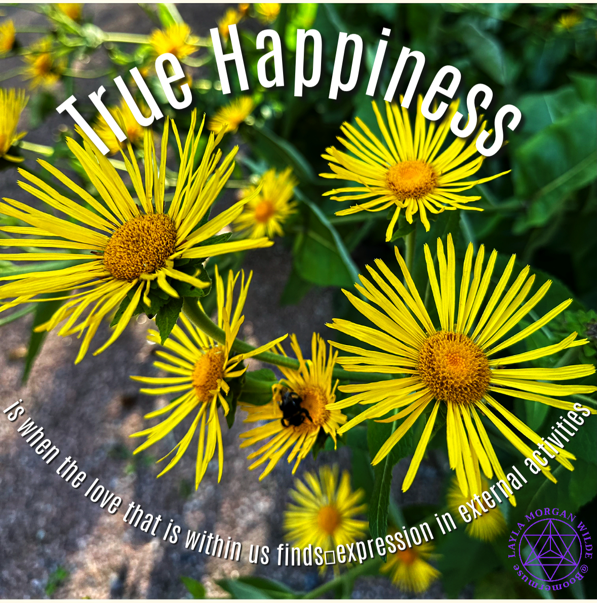 August Wisdom in Words and Images