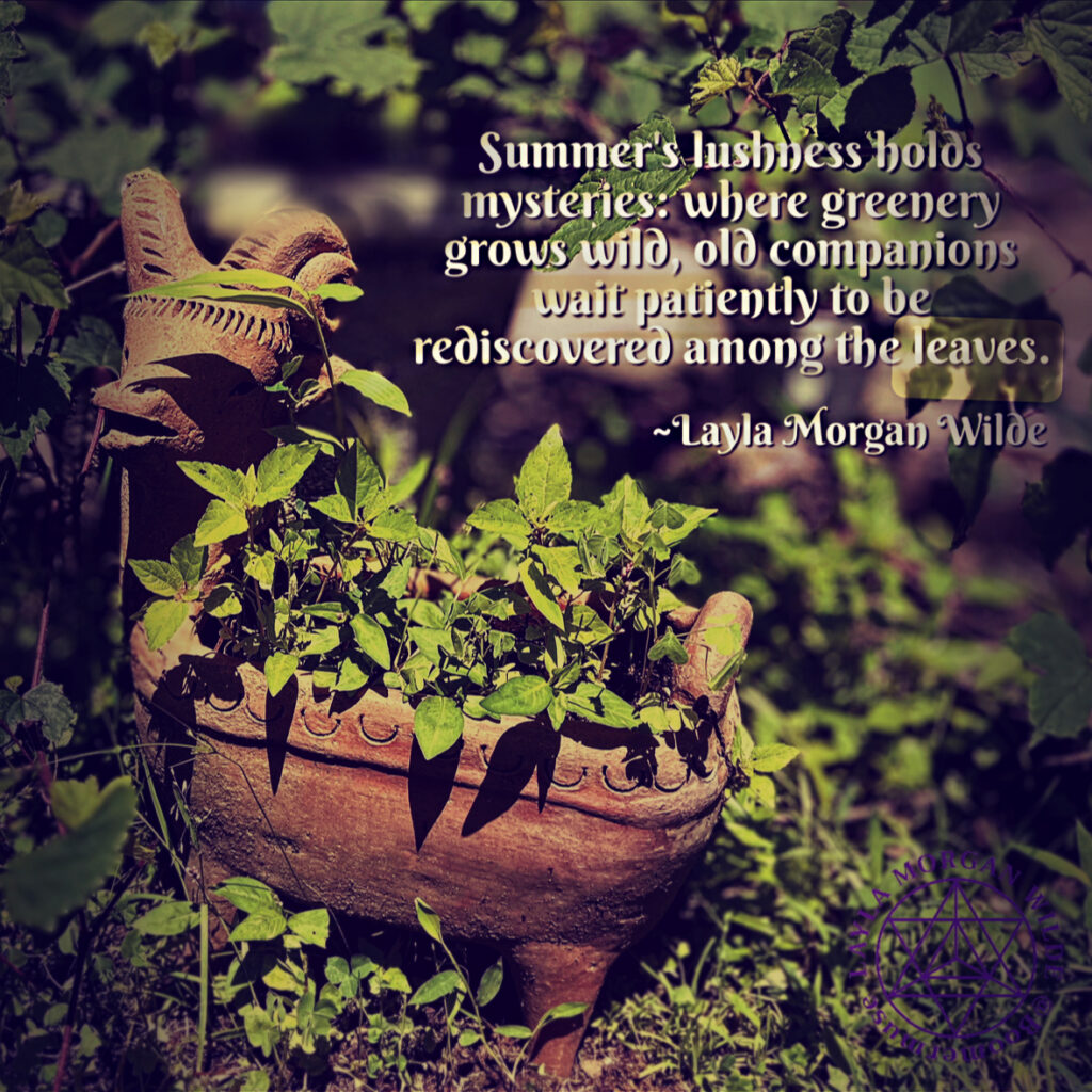 End of summer quote