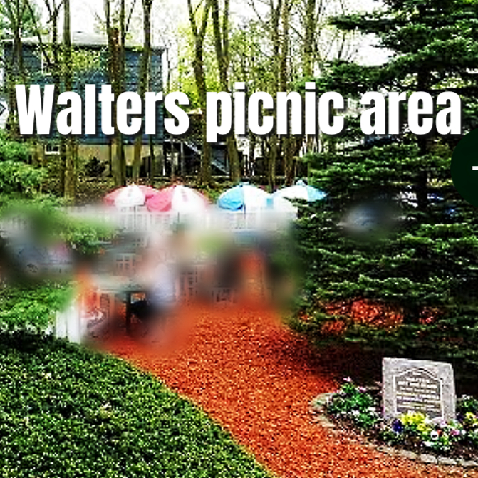 Walter’s hotdog picnic area