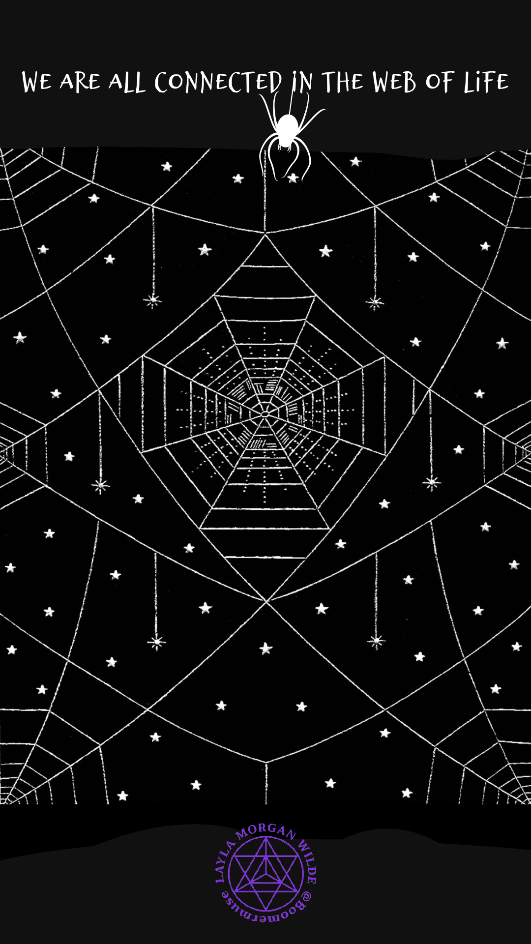 We are all connected in the web of life